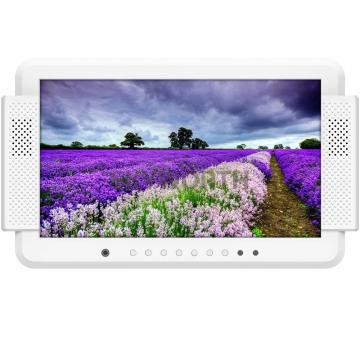 13.3 inch mobile digital TV display