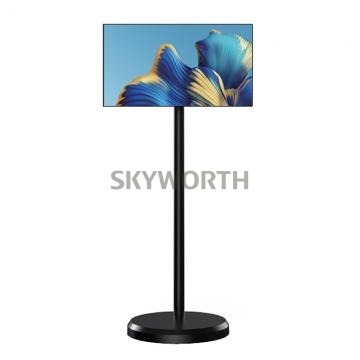 Mobile intelligent display terminal